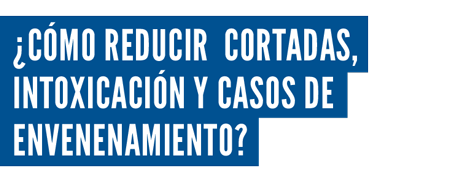 SEGURIDAD Y PREVENCIÓN
DE ACCIDENTES EN ESCUELASS
